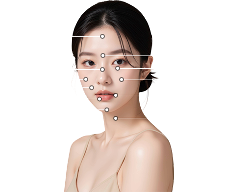 아트필러 시술 부위